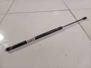 Gasdruckfeder Kofferraum Renault Scenic, I 1999.09 - 2003.06 facelift 09201A28,092 01 A 28 77 00 434 465 7700434465