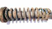 Fahrwerksfeder vorne Rover 600, 1993.08 - 1999.02 Gebraucht,