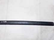 Zierleiste T?r Zier-Schutzleiste - Hinten Linke Renault Laguna, I 1994.01 - 2001.03 Gebraucht,