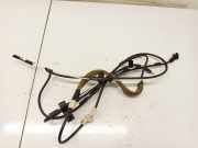 Kabelbaum Mazda Demio, II 2000.01 - 2003.12 Gebraucht,