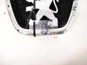 Emblem Peugeot 206, 2002.07 - 2009.01 facelift 9628688677,