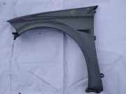 Kotflügel - Vorne Linke Renault Megane, II 2002.11 - 2006.06 pilka,