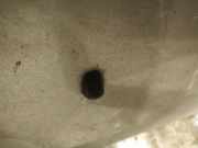 Waschwasserdüse Scheibenreinigung Mazda 5, CR 2005.02 - 2010.09 Gebraucht,