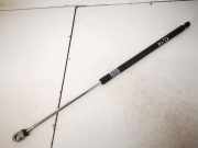 Gasdruckfeder Kofferraum Lexus IS, II 2005.10 - 2013.03 Gebraucht,