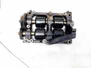 Ölpumpe Renault Espace, IV 2002.11 - 2014.12 8200180602a,8200180602a