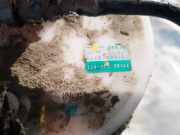 Kraftstoffpumpe Honda FR-V, 2004.08 - 2009.12 17708sjf013,17708-sjf-013 101961-9771