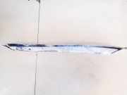 Schwellerverkleidung - Hinten Linke Peugeot 607, 2000.01 - 2004.07 9629149477,