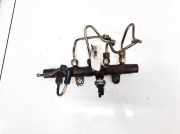 Kraftstoffverteiler Renault Scenic, II 2003.06 - 2006.06 8200397346,A2C20001221 5WS40154