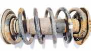 Fahrwerksfeder vorne Audi A4, B5 1994.11 - 1999.09 Gebraucht,