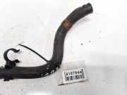 K?hlerschlauch Honda Civic, 2006,01 - 2011.01 Gebraucht,