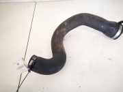 Intercooler Schlauch Lancia Phedra 2002 - 2006 Gebraucht,
