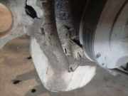 Impulsgeber Kurbelwelle Mazda 3, BK 2003.10 - 2009.12 Gebraucht,