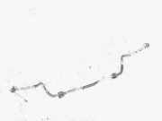 Stabilisator Vorne Ford Focus, 1998.10 - 2002.10 Gebraucht,
