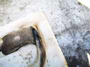 Waschwasserpumpe Scheibenreinigung Audi A4, B5 1994.11 - 1999.09 Gebraucht,