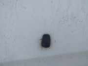 Waschwasserdüse Scheibenreinigung Toyota Corolla Verso, III 2004.05 - 2007 Gebraucht,