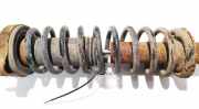 Fahrwerksfeder Hinterachse Mitsubishi Carisma, II 2000.09 - 2006.06 Gebraucht,