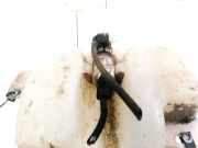 Waschwasserpumpe Scheibenreinigung Citroen C8, I 2002.07 - 2008.06 Gebraucht ,