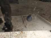 Waschwasserdüse Scheibenreinigung Peugeot 307, 2000.08 - 2005.06 Gebraucht,