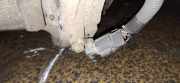 Impulsgeber Kurbelwelle Nissan Almera Tino 2000.08 - 2003.09 Gebraucht,
