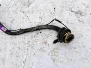 Tankeinfüllstutzen Tankrohr Kraftstoffrohr BMW X5, E53 2000.01 - 2003 Gebraucht,