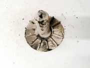 Federteller Renault Kangoo, 2008.02 - 2020 8200375077,8200375077-b