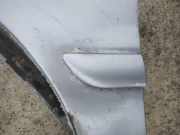 Zier-Schutzleiste Kotfl?gel - Vorne Linke Mitsubishi Lancer VII, 2003.09 - 2006.04 Gebraucht,