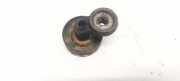 Spannrolle Peugeot Boxer, 1994.03 - 2002.04 Gebraucht,