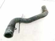 K?hlerschlauch Renault Scenic, I 1999.09 - 2003.06 facelift Gebraucht,