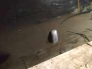 Waschwasserd?se Scheibenreinigung Toyota Corolla, 2004.02 - 2007.02 facelift Gebraucht,