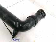 Schlauch für Luftversorgung Audi A3, 8P 2003.05 - 2005.06 1K0129618AJ, HP01