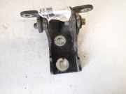 Türscharnier Vorne Opel Insignia A, 2008.01 - 2013.01 Gebraucht,