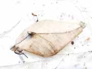 Ausgleichsbehälter Dodge Avenger, 2007.06 - 2011.01 05058371ad,