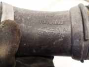 Schlauch für Luftversorgung Renault Scenic, II 2003.06 - 2006.06 8200201614,
