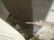 Türfangband Türbremse Türstopper - Hinten Rechts Renault Kangoo, 2008.02 - 2020 Gebraucht ,