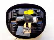 Airbag Fahrer Renault Scenic, II 2003.06 - 2006.06 8200381851, 6010579