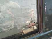 Seitenscheibe - Vorne Linke Volkswagen Transporter, T4 1996.01 - 2003.04 facelift Gebraucht,