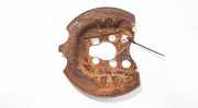 Spritzblech für Bremsscheibe - Hinten Linke Citroen C4 Picasso, I 2006.01 - 2013.06 Gebraucht,