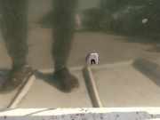 Waschwasserdüse Scheibenreinigung Volvo V40, I 1995.07 - 2000.07 Gebraucht,