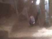 Waschwasserdüse Scheibenreinigung Ford Maverick, I 1993.01 - 1999.12 Gebraucht,