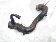 Intercooler Schlauch Audi A4, B6 2000.11 - 2004.11 pk0446037, 0110129