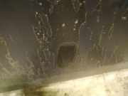 Waschwasserdüse Scheibenreinigung Seat Alhambra, 1996.08 - 2000.05 Gebraucht,