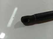 Gasfeder für Motorhaube Mercedes-Benz A-CLASS, W169, 2004.09 - 2008.09 1756VP0430N, 1756VP 0430N 161 05 BN31 Q6A 169 740 0045 16105BN31 Q6A1697400045