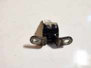 Türscharnier Hinten Hyundai Santa Fe, 2006.03 - 2012.09 Gebraucht,