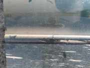 Zierleiste T?r Zier-Schutzleiste - Vorne Rechts Jaguar X-Type, 2001.06 - 2007.11 Gebraucht,