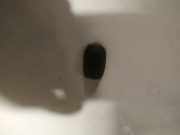 Waschwasserdüse Scheibenreinigung Ford Focus, 2011.04 - 2018 Gebraucht,