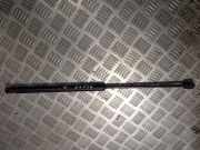 Gasfeder für Motorhaube Fiat Stilo, 2001.10 - 2007.01 8357NO, 0250N