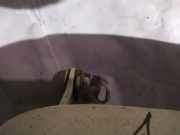 Lang Heckklappe Scharniere Scharnier Links Renault Espace, III 1996.11 - 2002.10 Gebraucht,