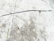 Seilzug Feststellbremse BMW 5-Series, E60 E61 2003.07 - 2010.03 Gebraucht ,