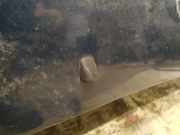 Waschwasserdüse Scheibenreinigung Kia Cerato, 2004.03 - 2008.06 Gebraucht,