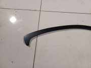 Zierleiste Leiste - Vorne Rechts Skoda Octavia, II 2004.02 - 2009.03 Gebraucht ,